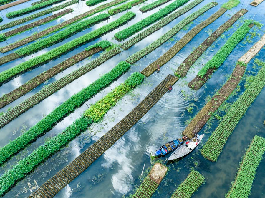 Floating farming